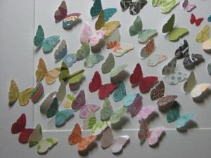 close_up_butterflies